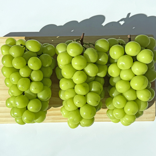 당도선별 고당도 정품 샤인머스켓 2kg 4kg